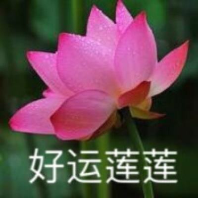 文化中国行｜西部小城甘肃灵台传承千年针灸魅力